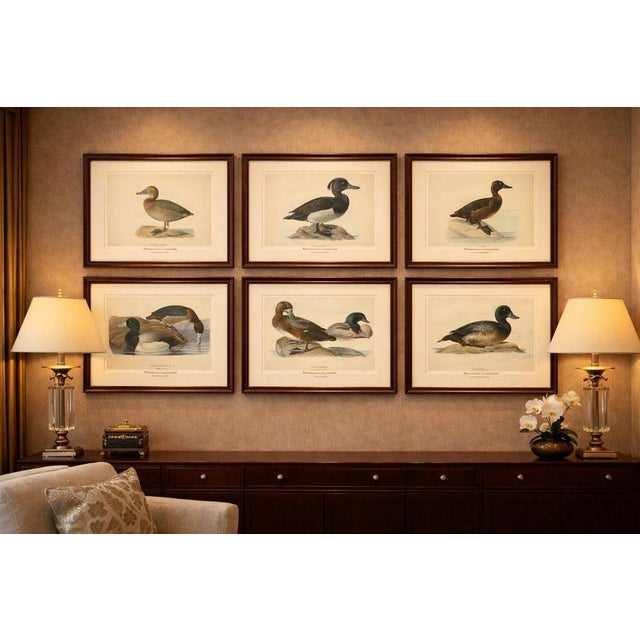 Antique Scandinavian Ornithology Lithographs, Geese of Northern Europe, Svenska Fåglar 1929 This refined set of six...