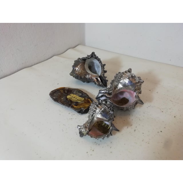 Silver-Plated Shells by Federico Buccellati, Italy, 1940s, Set of 4 For Sale - Image 12 of 13