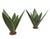 Contemporary Pair of Hand-Painted Metal Agave Sculptures For Sale - Image 3 of 11