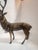 Beautiful Solid Brass Stag Candleabra For Sale - Image 10 of 11