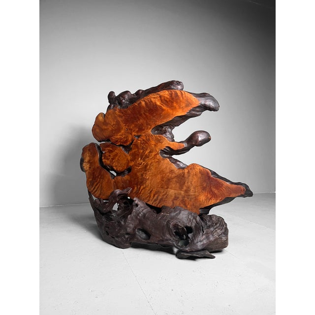 Japanese Burl Wood Decoration For Sale - Image 11 of 15