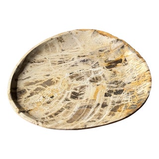 Small Trinket Tray or Dish in White Petrified Wood with Brown Checkered Pattern For Sale