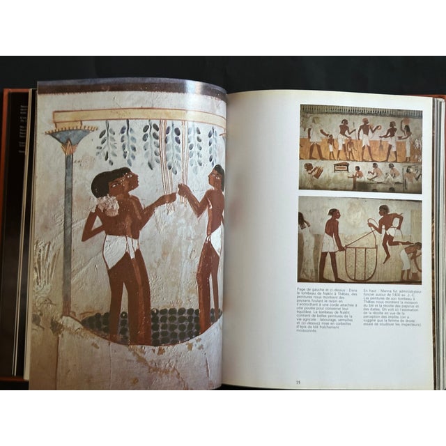 Egypt Photography Book in French For Sale - Image 12 of 18
