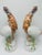 Orange Mottahedeh Porcelain Birds, a Pair For Sale - Image 8 of 9