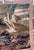 Antique Verdure Tapestry – Large Bird & Prey Scene For Sale In Los Angeles - Image 6 of 10