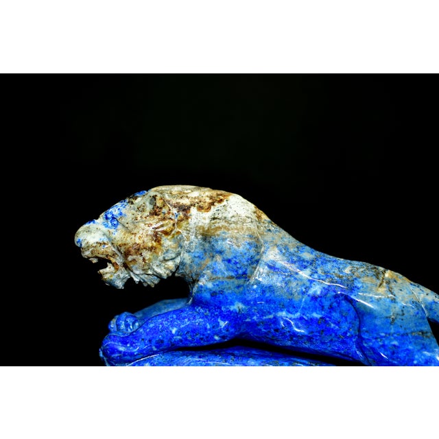 Royal Blue Lapis Lazuli Tiger Sculpture Natural Large Gemstone 9" Paperweight For Sale - Image 8 of 10