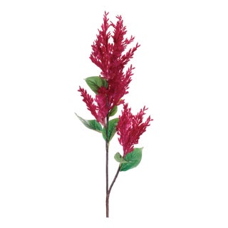 Astilbe Floral Spray (Set of 2) For Sale