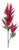 Astilbe Floral Spray (Set of 2) For Sale