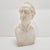 Alabaster Bust of Goethe in the style of Rauch For Sale - Image 15 of 15