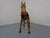 Animal Skin Large Wooden Horse with Leather Saddle, 1900 For Sale - Image 7 of 18