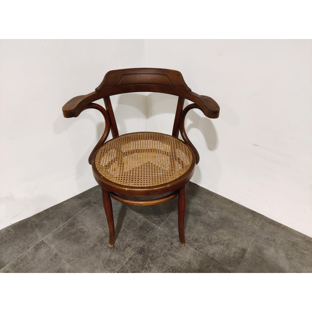 Brown Bentwood Bistro Chair, 1950s For Sale - Image 8 of 10
