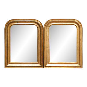 Pair of 19th Century French Louis Philippe Giltwood Mirrors With Floral Motifs