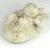 19th Century Italian Alabaster Cherub For Sale - Image 9 of 13