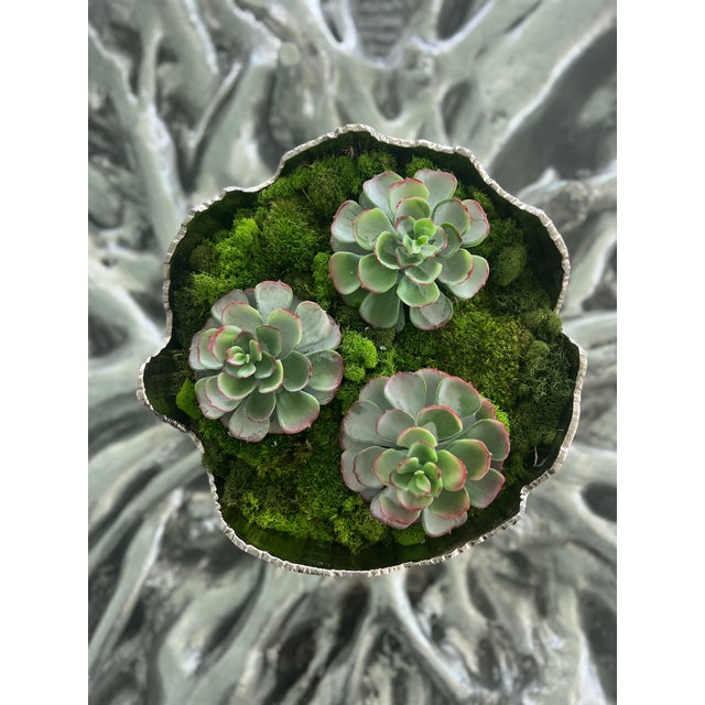 A striking decorative centerpiece featuring three lifelike succulents nestled in a textured bed of green moss. Soft sage...