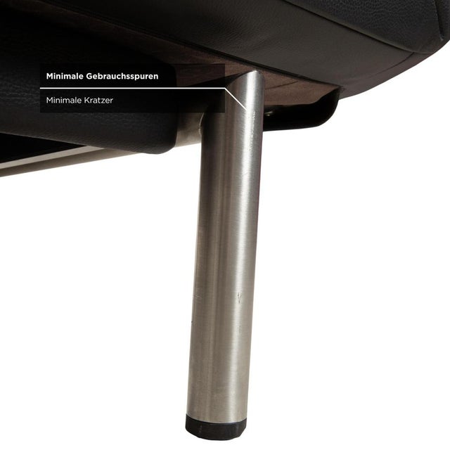 Animal Skin DS 450 2-Seater Sofa in Leather from de Sede For Sale - Image 7 of 12