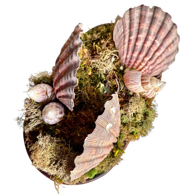 Brown 50s Chinese Wood Foot Tub Shell Collection Vase Natural Bowl Asian Chinoserie Vintage For Sale - Image 8 of 18