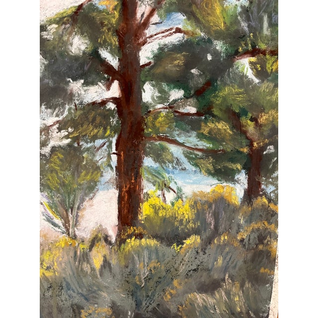 1990s 1990s Original Plein Air Style Oil Pastel Landscape, Pines and Sagebrush With Distant Lake, Unknown Artist For Sale - Image 5 of 5