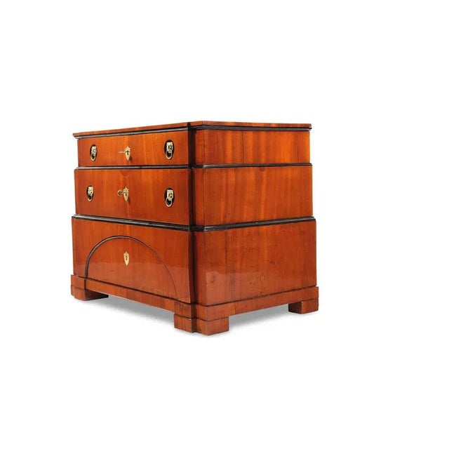 Biedermeier Chest of Drawers in Mahogany, North Germany, 1830s For Sale - Image 4 of 5