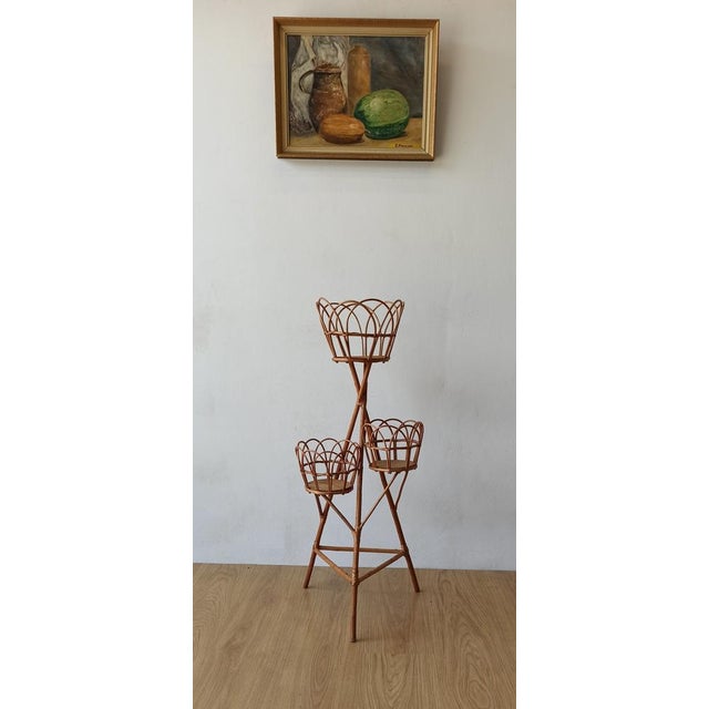 Wicker Plant Stand, 1960s For Sale - Image 6 of 9
