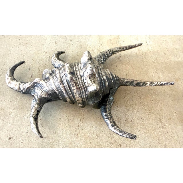 Ruzzetti and Gow Silvered Large Shell For Sale - Image 10 of 12