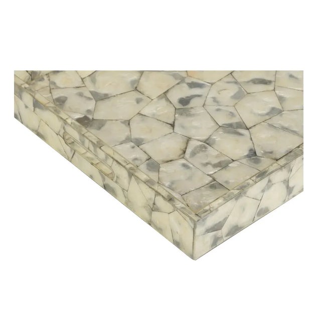 Wildwood Shell Shock Tray For Sale - Image 4 of 5