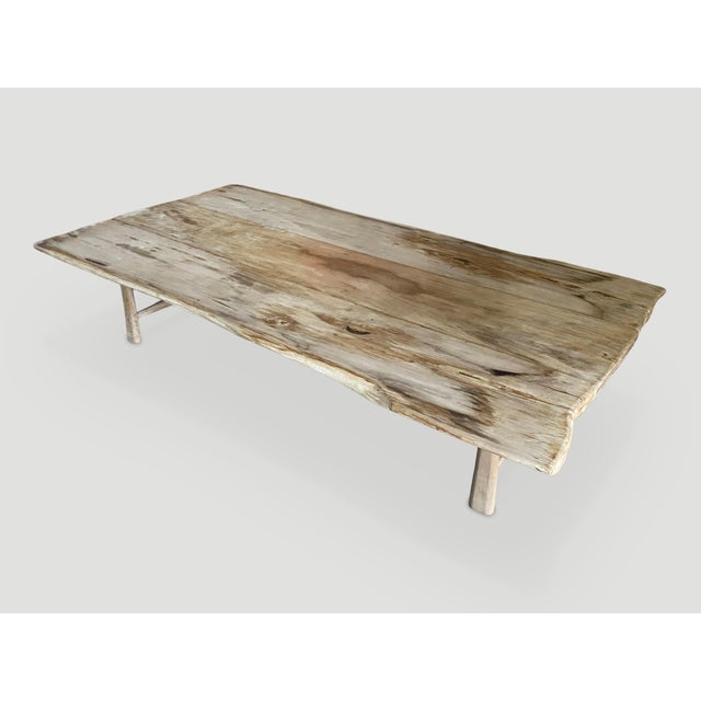 Andrianna Shamaris Live Edge Petrified Wood Coffee Table or Dining Table For Sale - Image 4 of 5