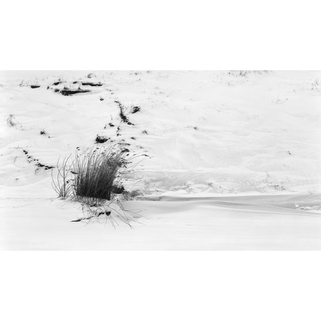 Ugne Pouwell, Winter of the Dead Dunes No.2, 2026, Monochrome Landscape Photography, Limited to 20 For Sale