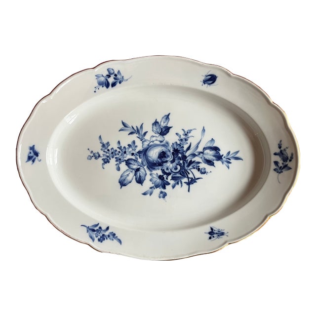 Large 19" Antique 19th Century German Meissen Porcelain Blue and White Floral Platter With Insects For Sale