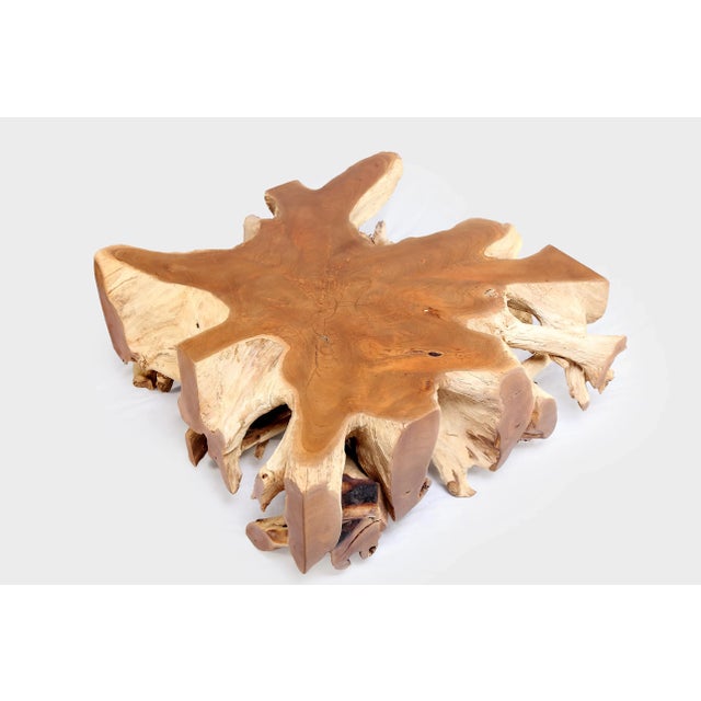 Contemporary Square 36" Inch Organic Teak Root Coffee Table 52 For Sale - Image 3 of 6