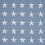 Created to commemorate the 250th anniversary of the United States, Starfield Appliqué is a folksy yet graphic pattern...