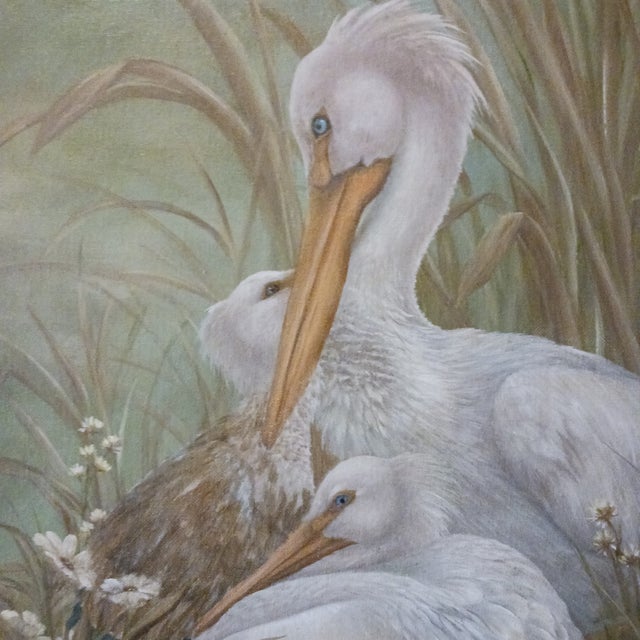 This has to be one the most beautiful paintings I have ever owned by an unknown artist. Signed lower right C. Cisco, and...