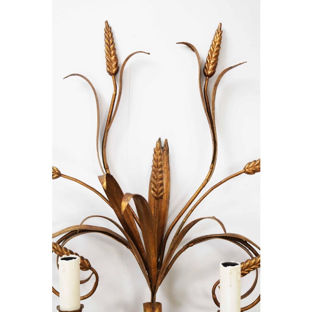 Gold Large Florentine Regency Wall Lamp with Ears of Wheat by Hans Kögl, 1970s For Sale - Image 8 of 9