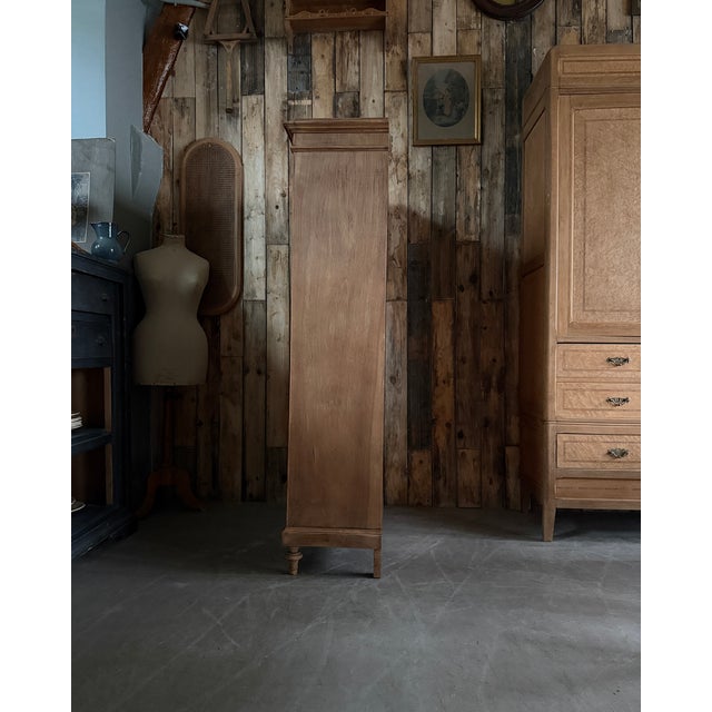 Antique Library with Wire Mesh Doors, 1890s For Sale - Image 5 of 16