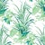 Jungle Road Barbados Green Wallpaper For Sale