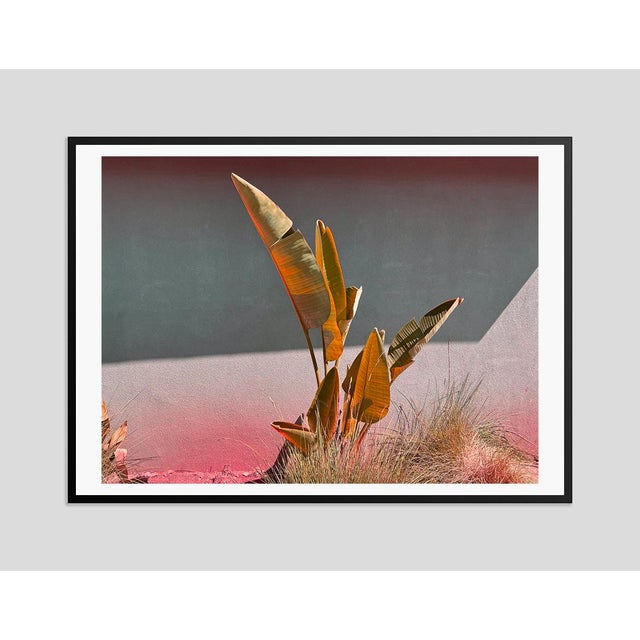 Modern Stay Gold by Stuart Möller Framed For Sale - Image 3 of 3