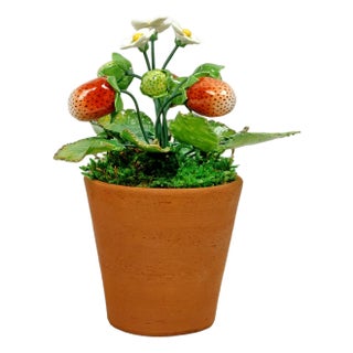 Porcelain Strawberry Plants by Didier Gardillou - Contemporain Period For Sale