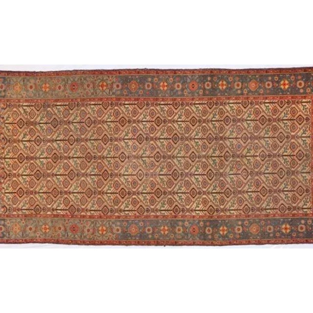 1900 - 1909 1900's Persian Malayer Rug For Sale - Image 5 of 13