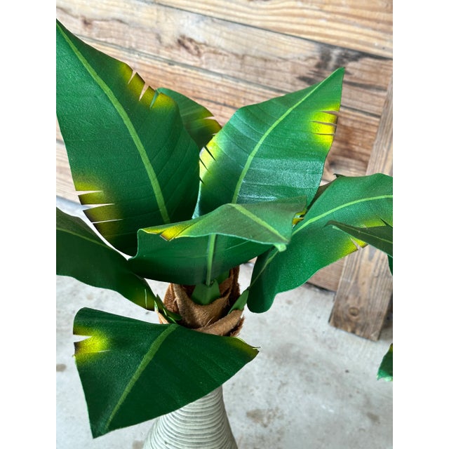 Green Pair Tropical Coastal Canvas Manila Palm Trees For Sale - Image 8 of 10