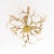 Brass Branches Chandelier by Willy Daro, 1970s For Sale - Image 6 of 18