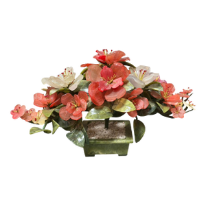 Chinese Jade Tree With Rose Quartz & White Carnelian Botanicals in Jade Planter