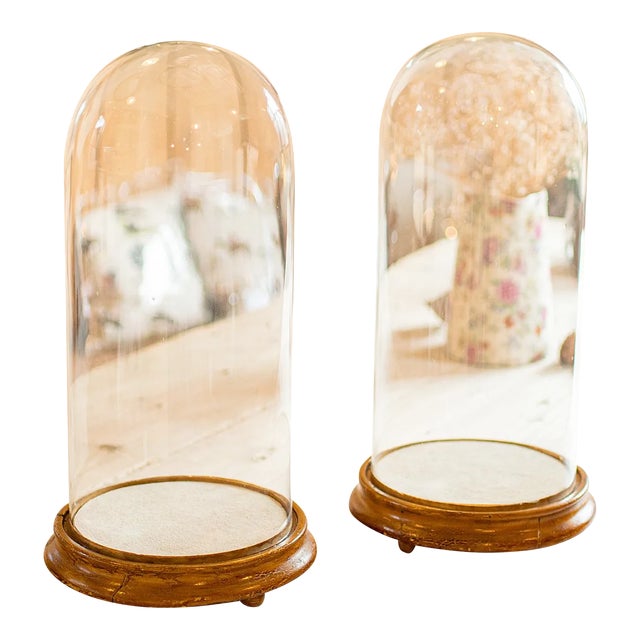1850's Pair of Antique Display Domes For Sale