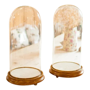 1850's Pair of Antique Display Domes