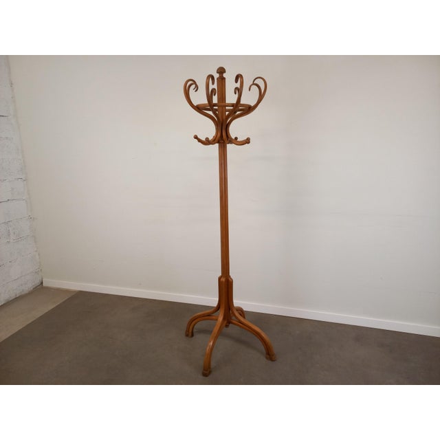 Parrot Coat Rack from Gebrüder Thonet, in Good conditions. Designed before 1890 This piece has an attribution mark, I am...