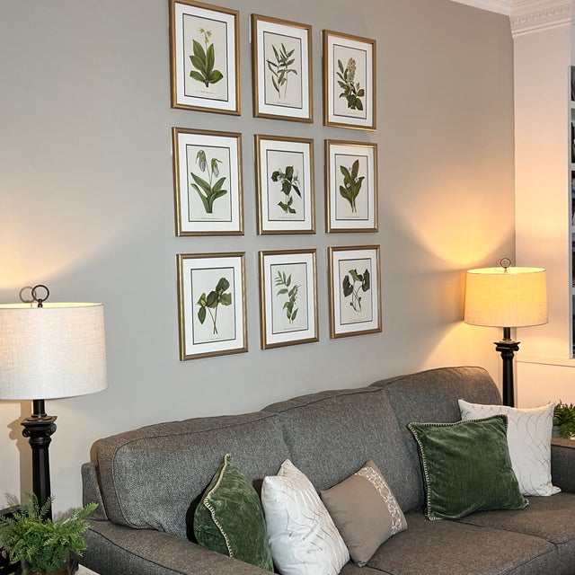 Illustration Original Vintage Botanical Prints Framed -Set of 9- 1975 Wild Flower Prints For Sale - Image 3 of 6