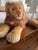 Vintage Steiff 1950’s Leo the Lying Lion 45cm and in Like New Condition For Sale - Image 4 of 17