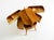 Mid-Century Modern Teak Sewing Box with Hinged Compartments, 1950s For Sale - Image 12 of 18