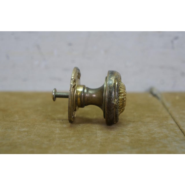 9 Vintage Brass Neoclassical Ribbon & Reed Floral Medallion Drawer Pull For Sale - Image 6 of 13