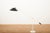 Counterbalance Floor Lamp with Steel Tube Frame by J. J. M. Hoogervorst for Anvia, 1957 For Sale - Image 10 of 10