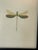 Animal Skin Dragonfly Chromolithograph in Leather Embossed Frame For Sale - Image 7 of 7