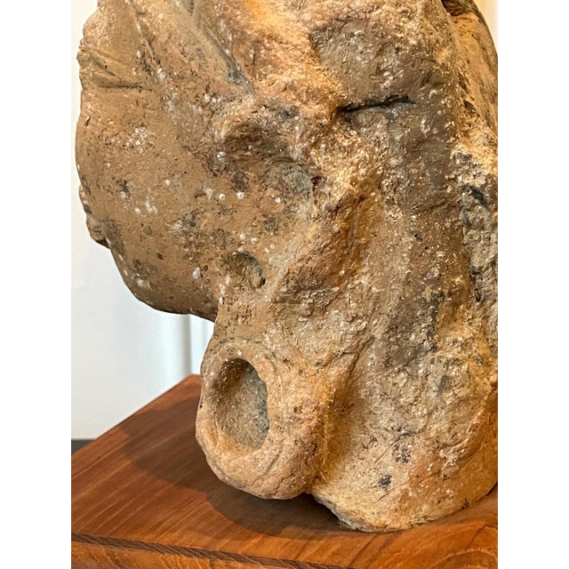 Indian Terracotta Sculpted Head Gupta Period For Sale - Image 11 of 17